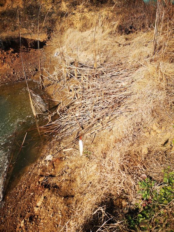 女釣手冬釣養成記