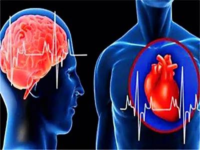 2箇中成藥，降脂化濁、抑制斑塊生成、打通血脈，抗冠心病和腦梗