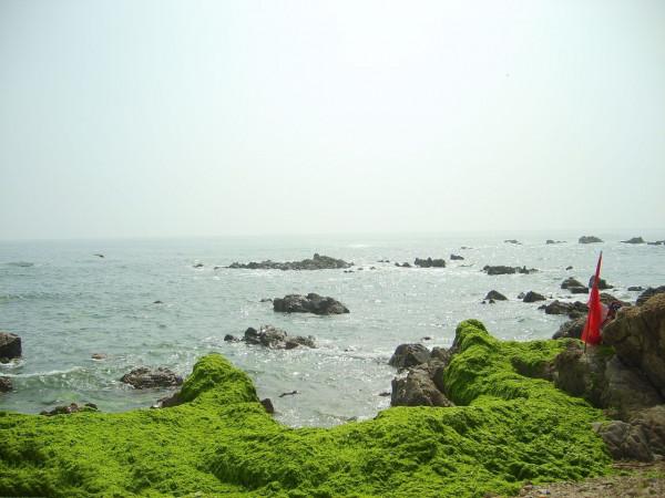 美景山東|琅琊臺景區:徐福東渡處,始皇望仙台 美景山東|琅琊臺景區:徐福東渡處,始皇望仙台