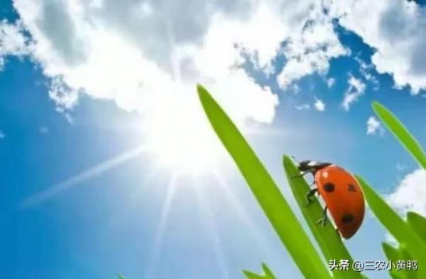 天氣預報：2021下半年是澇是旱？就看八月十五，老祖宗農諺能預兆