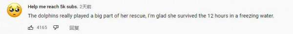 美國教授出海遊玩偶遇一群海豚，竟救回一個漂流了12小時的女子