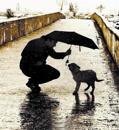 我被善良啃噬的屍骨無存 我被善良啃噬的屍骨無存