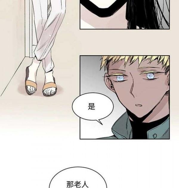 漫畫《巫師與狼》：被詛咒的狼人，他因某種原因失去了一隻手臂