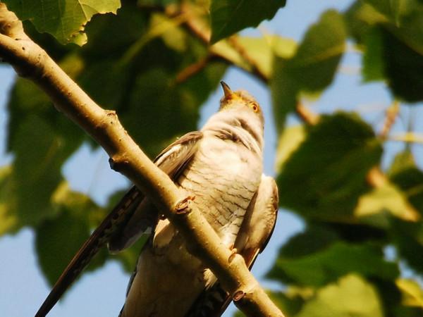 2首很冷門的古詩詞,歷經千年風霜,卻能夠驚豔人心 2首很冷門的古詩詞,歷經千年風霜,卻能夠驚豔人心