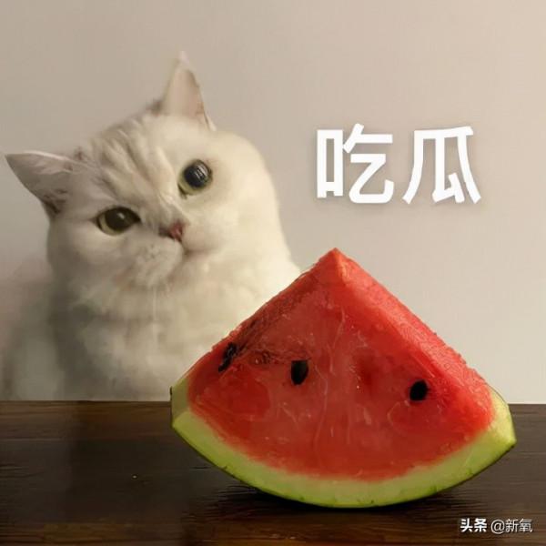 吹捧多年的全球最帥面孔其實是野榜？