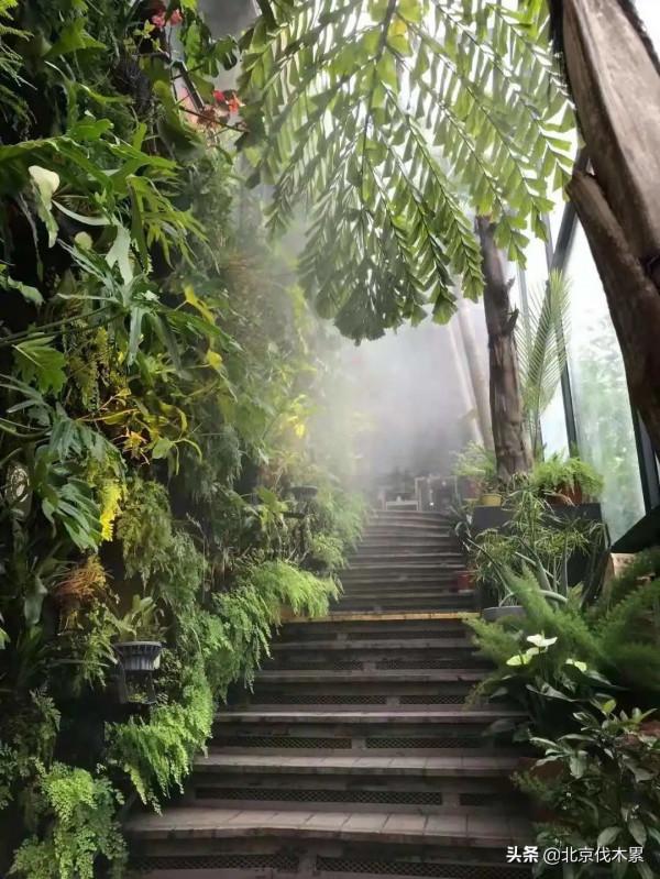 轉角遇見秘密花園,是冬日最幸運的事情之一 轉角遇見秘密花園,是冬日最幸運的事情之一