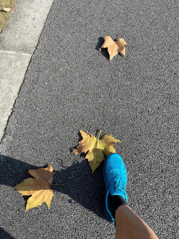 陽光☀️慢跑 陽光☀️慢跑