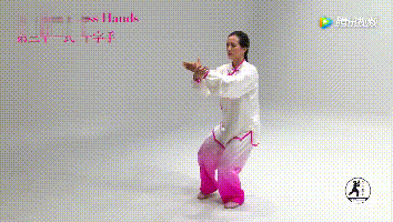 太極拳收式竟然這麼多講究？！打拳再也不能虎頭蛇尾