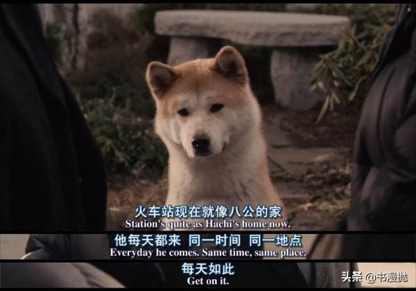 10部冬日影視 | 暖心治癒驚險奇幻隨你挑，沒看過的趕緊碼住