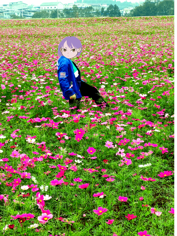 一個冬季都在,而你開的花海,在那河邊的古鎮旁,潼南油菜花 一個冬季都在,而你開的花海,在那河邊的古鎮旁,潼南油菜花