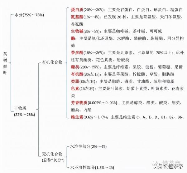 泡完的茶葉到底能不能吃？