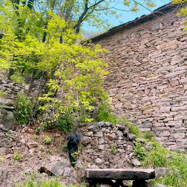 “封門村”傳聞是真的嗎?專家:有科學解釋 “封門村”傳聞是真的嗎?專家:有科學解釋