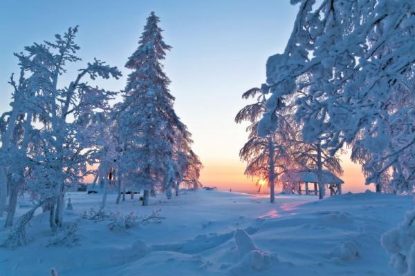 俄羅斯 | 1~12月，全給你安排妥妥滴