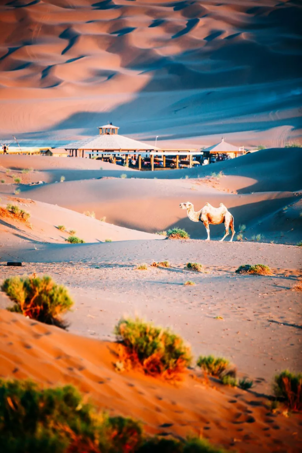 新疆剛下雪，小夥伴不淡定了：原來冬天的新疆是這樣的