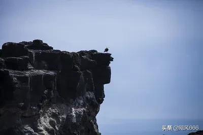 夢遊櫻螺山 夢遊櫻螺山