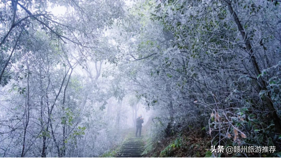 絕美！從晉朝走來的青蓮古寺，霧凇美景出現，又再次驚豔了世人