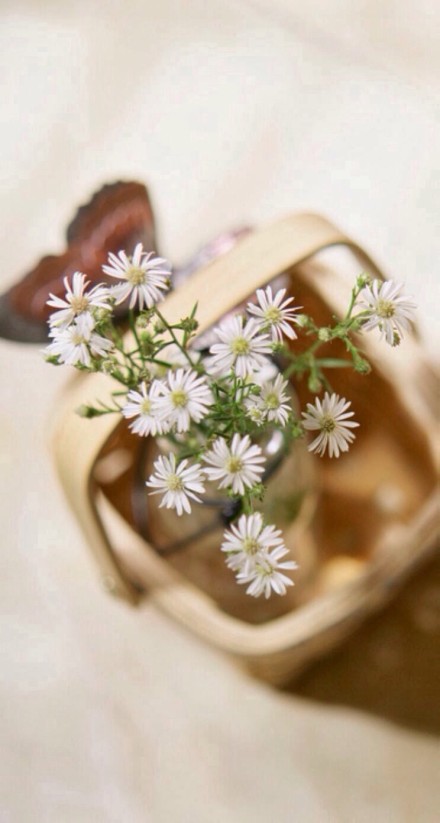 散文:人到中年,不懼歲月滄桑,亦無需感傷 散文:人到中年,不懼歲月滄桑,亦無需感傷