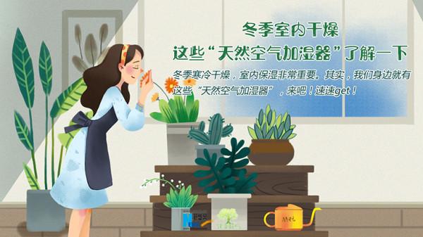 「健康解碼」冬季室內乾燥，這些“天然空氣加溼器”瞭解一下