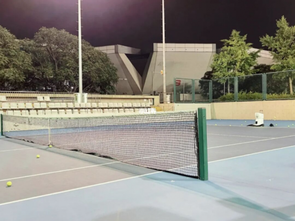 亞洲首位大滿貫李娜：為武漢捐款三百萬，把老公當“充電寶”