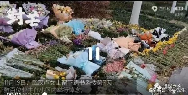 因遛狗發生衝突，女子以命控訴——不值，但又能有什麼辦法