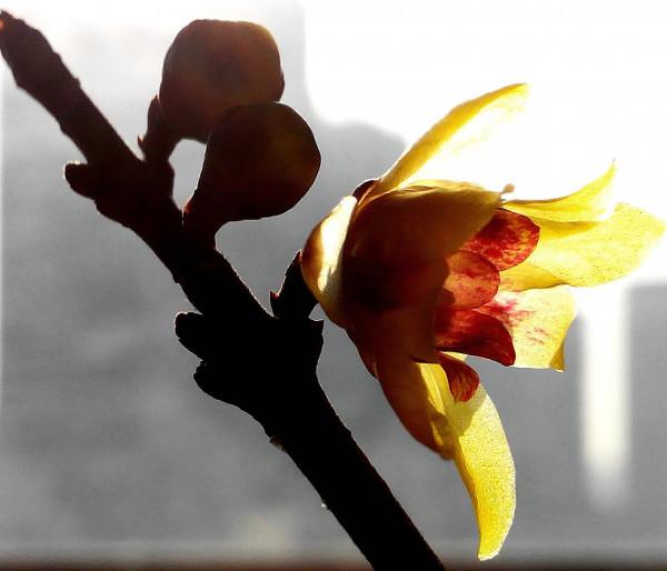 旅行帶來了什麼？