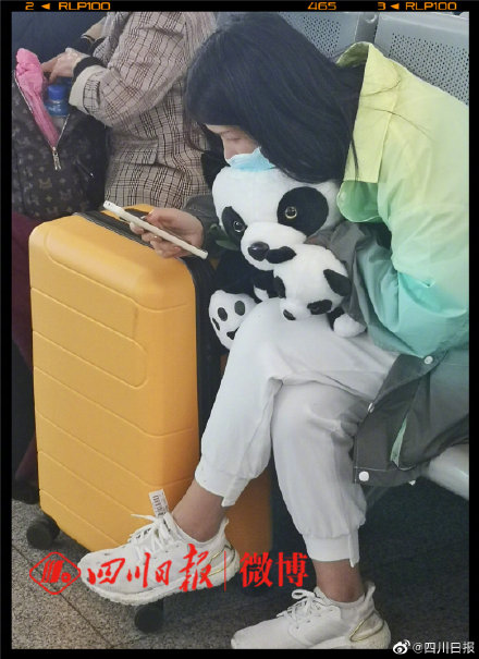 離開成都的遊客人手一隻熊貓？