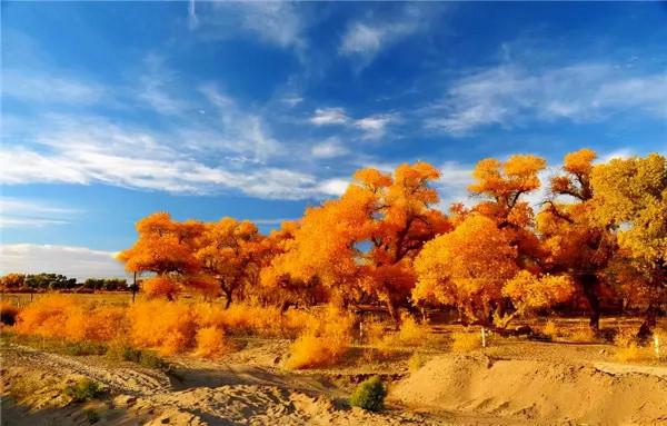 醉美中國，在秋天