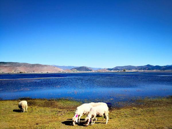 梅里雪山腳的世外桃源雨崩之旅第五天一一尼農峽谷 梅里雪山腳的世外桃源雨崩之旅第五天一一尼農峽谷