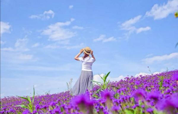 童話故事裡一個獨特地方——彌勒東風韻