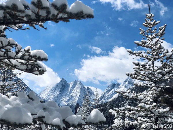 這個週末最浪漫的事，就是在四姑娘山來邂逅一場美好