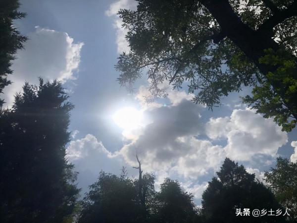 後日冬朔日，俗話說：“冬月初一晴，單衣過寒冬”，今年是暖冬嗎