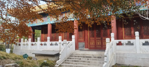 原來，沒有白雪覆蓋的冬日園博，也可以這麼美！