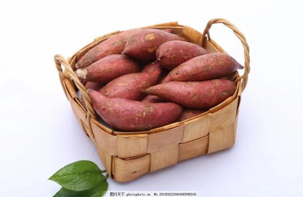 養生的飢餓療法 養生的飢餓療法