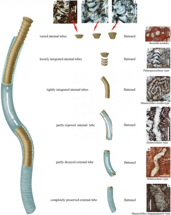 是誰，翻開青藏高原地層天書的扉頁？