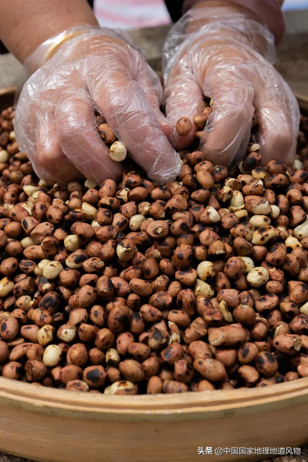 為什麼在福建,泉州比廈門好吃? 為什麼在福建,泉州比廈門好吃?