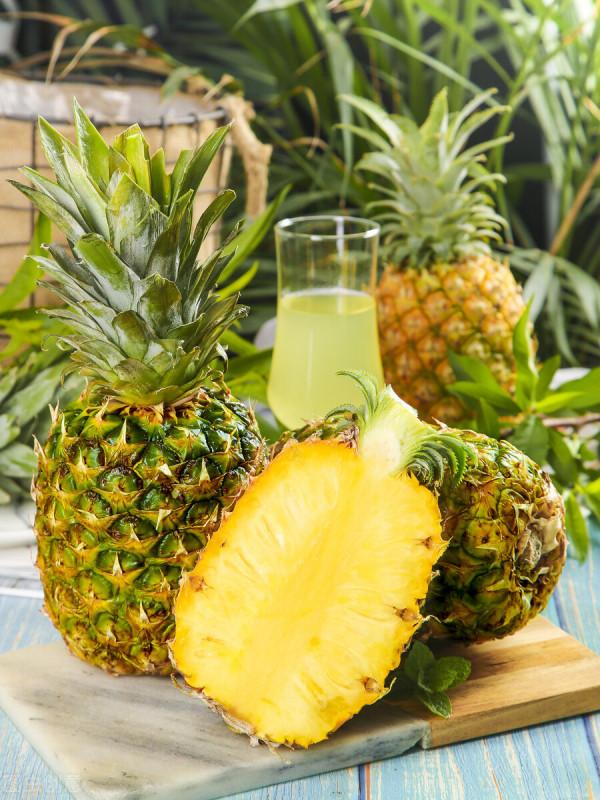 鳳梨的葉子可以水培種植嗎？葉子水培的方法是什麼？去瞧瞧