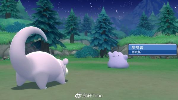 也許你需要這個——DP復刻的寶可夢培養