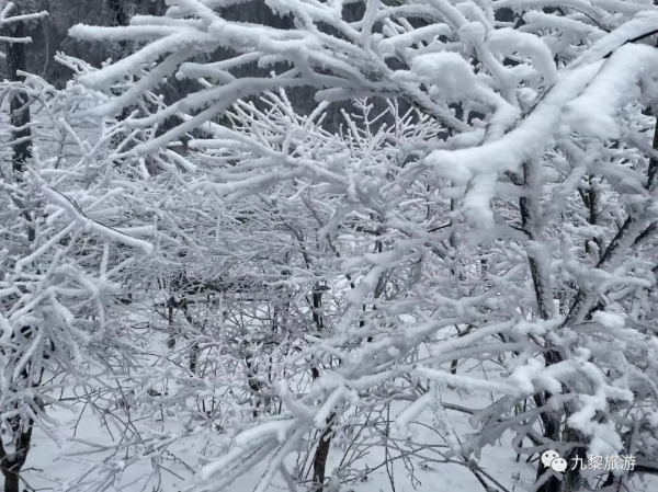 2022年摩圍山的第一場雪