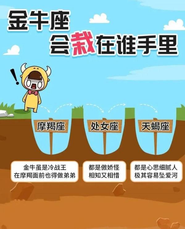 十二星座會栽在誰手裡? 十二星座會栽在誰手裡?