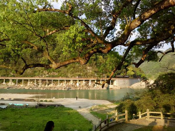 浙江一定要去的景區，至今已有千年歷史，有景寧最高學府之美稱