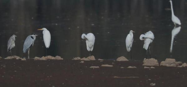 都是國寶和國保!山西汾河沿岸的精靈 都是國寶和國保!山西汾河沿岸的精靈