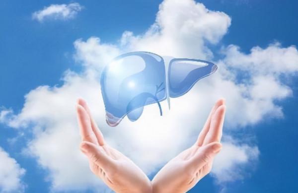 如果肝臟有問題，或許手上有這&OpenCurlyDoubleQuote;4個標誌&rdquo;，不妨瞭解一下