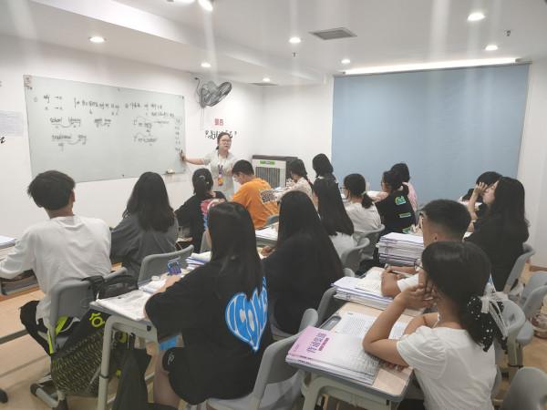 藝體生與文化生差距巨大！如何複習才能快速提升？