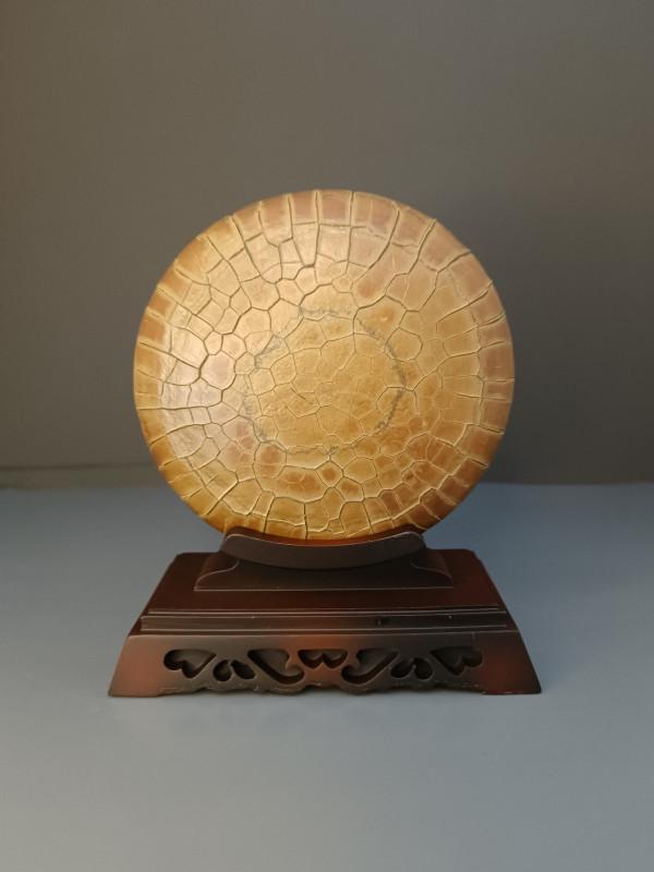 愛了愛了，這種底座好看實用又便宜