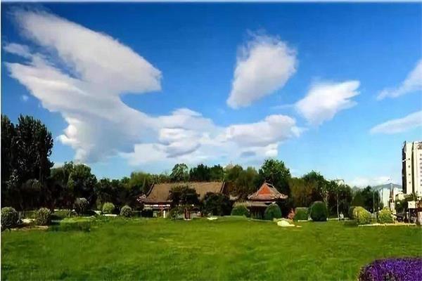 享天然森林氧吧 令人有著嚮往康養的魅力