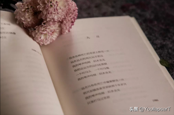 海子,孤獨的詩人,孤獨的詩歌 海子,孤獨的詩人,孤獨的詩歌