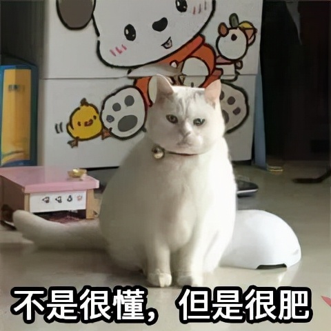 小基數減肥也不難！不到一個月，她減了將近9斤