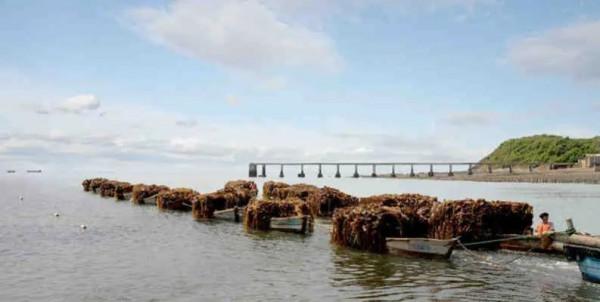 朝鮮大力開展養魚 豐富軍民飯碗