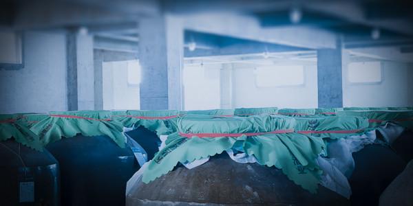 雙十一，正在成為白酒棄子