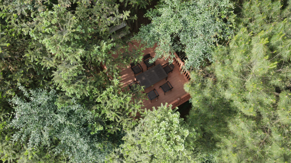 國慶大發現!竟有這麼適合四季養生的地方,實地探訪北緯29°小鎮 國慶大發現!竟有這麼適合四季養生的地方,實地探訪北緯29°小鎮